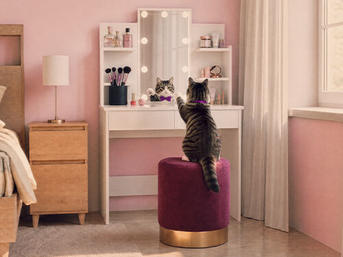 Chat assis &agrave; une coiffeuse avec &eacute;tag&egrave;res de rangement dans une chambre rose.