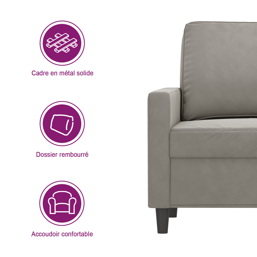 https://www.vidaxl.fr/dw/image/v2/BFNS_PRD/on/demandware.static/-/Library-Sites-vidaXLSharedLibrary/fr/dw43b62786/TextImages/AGD-sofa-velvet-light_grey-FR.png