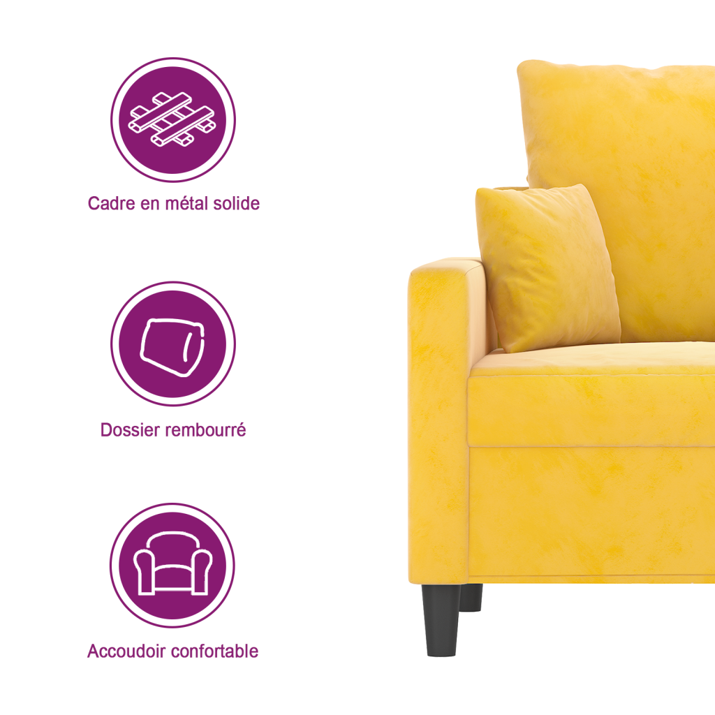https://www.vidaxl.fr/dw/image/v2/BFNS_PRD/on/demandware.static/-/Library-Sites-vidaXLSharedLibrary/fr/dw939867ca/TextImages/AGF-sofa-velvet-yellow-FR.png
