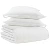 vidaXL Duvet d'hiver avec oreiller 3 pi&egrave;ces Blanc Plume de canard