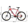 vidaXL V&eacute;lo de montagne 21 vitesses Roues 29 pouces Cadre 53 cm Rouge