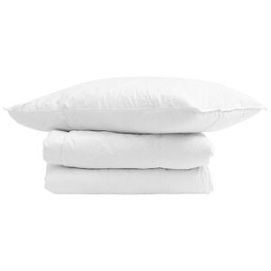vidaXL Duvet d'hiver avec oreiller 2 pcs Blanc Plume de canard