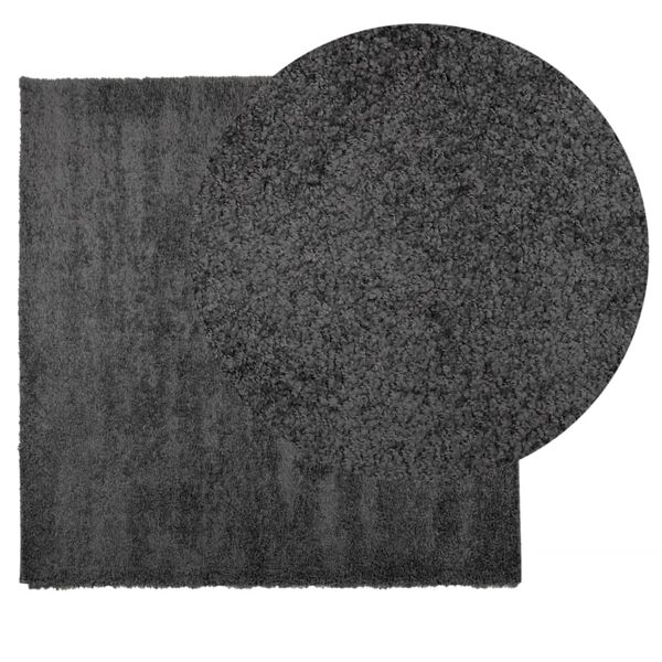 vidaXL Tapis shaggy PAMPLONA poils longs moderne anthracite 240x240 cm