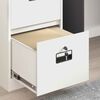 vidaXL Cabinet de Dossier avec tiroir 2 pcs Blanc 44 x 50 x 139 cm