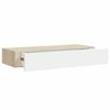 Oak_and_white
