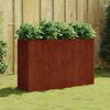 vidaXL Lit sur&eacute;lev&eacute; de jardin 120x40x80 cm acier corten