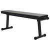 vidaXL Banc de poids Noir 108 x 27 x 41 cm Acier enduit de poudre