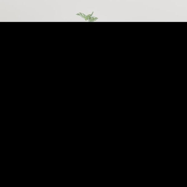 vidaXL Meuble TV mural Blanc brillant 40x34,5x80 cm