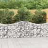 vidaXL Paniers à gabions arqués 40 pcs 200x30x80/100 cm Fer galvanisé