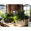 LECHUZA Jardinière BALCONERA Stone 50 ALL-IN-ONE Noir