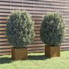 vidaXL Jardinières d'extérieur 2 pcs Marron miel 40x40x40cm Pin massif