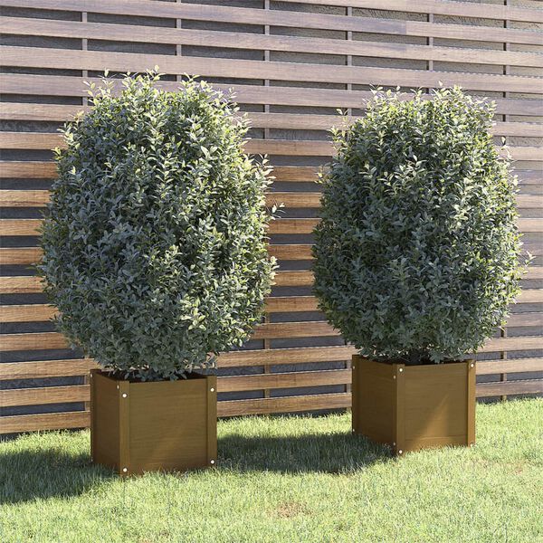 vidaXL Jardinières d'extérieur 2 pcs Marron miel 40x40x40cm Pin massif