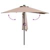 vidaXL Parasol de jardin Taupe 294 x 150 x 223 cm Polyester et Acier