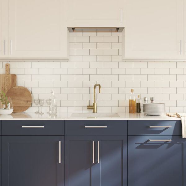 vidaXL Poignées d'armoire 10 pcs argenté 192 mm acier inoxydable