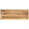 vidaXL Table console 110x35x76 cm Bois de manguier massif