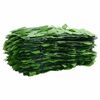 vidaXL Écran de balcon avec feuilles vert 500x150 cm