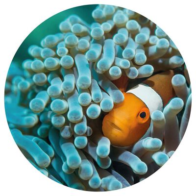 WallArt Papier peint cercle Nemo the Anemonefish 142,5 cm