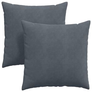 vidaXL Coussins de canap&eacute; 2 pcs Gris fonc&eacute; 80 x 80 cm
