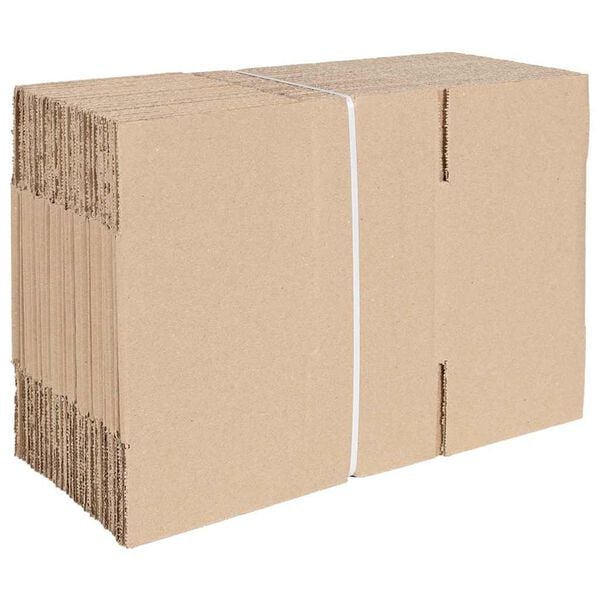 vidaXL Bo&icirc;te Pliable 50 pcs Naturel 24 x 13 x 13 cm Carton