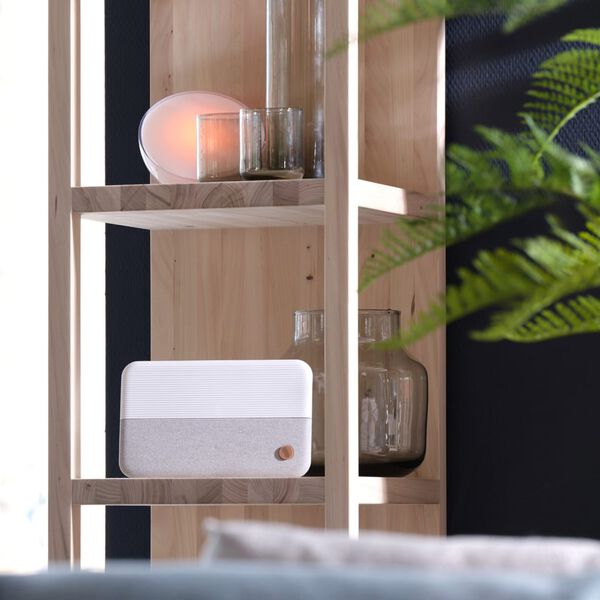 One For All Antenne TV d'int&eacute;rieur 22x3,5x1,5 cm Blanc et gris