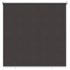 vidaXL Store roulant ext&eacute;rieur protection UV Anthracite Polyester