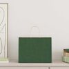 vidaXL Sacs en papier 250 pcs avec poign&eacute;es vert 32x17x25 cm