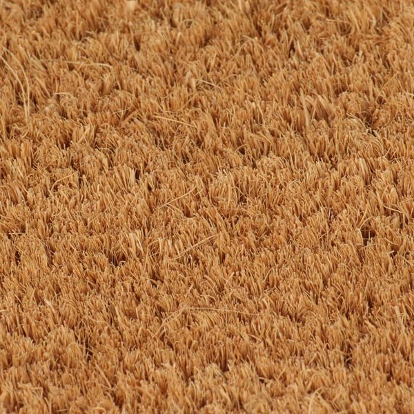 vidaXL Tapis de porte naturel 60x90 cm fibre de coco touffet&eacute;
