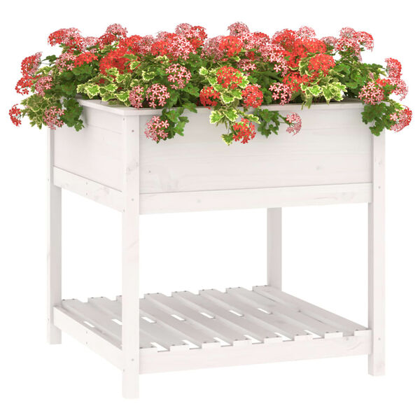 vidaXL Jardini&egrave;re avec &eacute;tag&egrave;re Blanc 82,5x82,5x81cm Bois massif de pin
