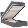 vidaXL Lit ottoman avec matelas et LED Gris fonc&eacute; 80x200cm tissu