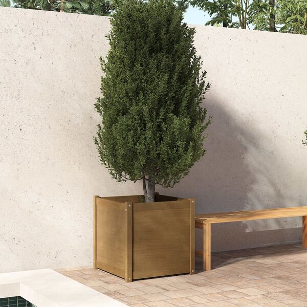 vidaXL Jardinière d'extérieur Marron miel 60x60x60 cm Bois de pin