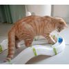 Ferplast Jouet pour chat Circuit de divertissement Labyrinth Blanc