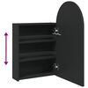 vidaXL Armoire de bain &agrave; miroir avec LED arqu&eacute;e noir 42x13x70 cm