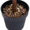 Vignette du produit 4 sur 5
