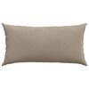 vidaXL Coussins de canap&eacute; 2 pcs Taupe 80 x 40 cm tissu