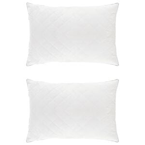 vidaXL Oreiller FULDA 2 pc 40 x 80 cm 100% duvet d'oie et plumes Blanc