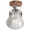 vidaXL Lampe murale industrielle/plafonnier 2 pcs Argent&eacute; 20x25 cm E27