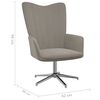 vidaXL Chaise de relaxation avec tabouret Gris clair Velours