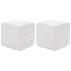 vidaXL Poufs 2 pcs Blanc 30 x 30 x 30 cm Similicuir