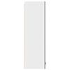 vidaXL Armoire suspendue Gris b&eacute;ton 30 x 31 x 100 cm Bois d'ing&eacute;nierie