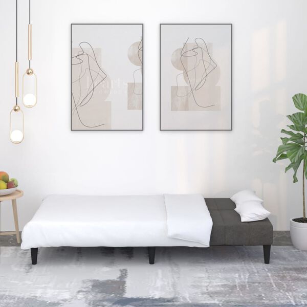 vidaXL Canap&eacute;-lit &agrave; 2 places Gris fonc&eacute; Tissu microfibre