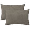 vidaXL Coussin avec oreiller HEERLEN 2 pi&egrave;ces Gris clair Velours