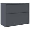 vidaXL Armoire de rangement Anthracite 90 x 40 x 70 cm Acier