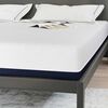 vidaXL Matelas Blanc et Bleu 180 x 200 cm Tissu jacquard