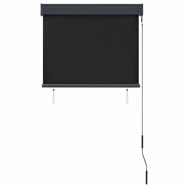 vidaXL Store roulant d'ext&eacute;rieur 80 x 250 cm Anthracite