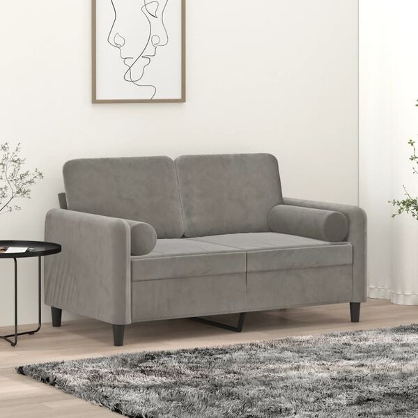 vidaXL Canapé 2 places oreillers et coussins Gris clair 120 cm Velours