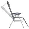 vidaXL Chaises de camping pliables lot de 2 repose-pied Gris Aluminium