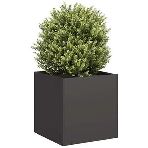 vidaXL Jardini&egrave;re noir 40x40x40 cm acier lamin&eacute; &agrave; froid