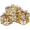 vidaXL Bo&icirc;te-cadeau de No&euml;l &eacute;clair&eacute;e 3 pc 150 LED Blanc chaud