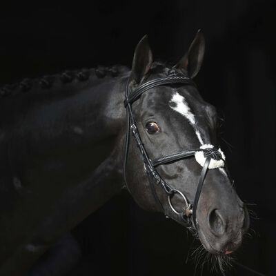 Covalliero Bridon Cancun pour poney Noir