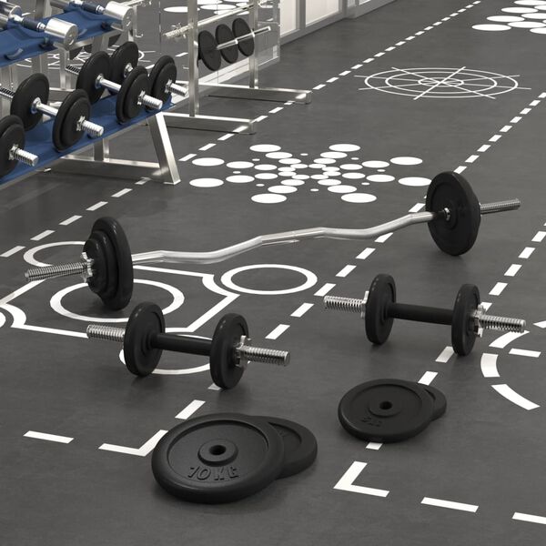 vidaXL Ensemble d'haltères et de barres avec plaques 60 kg fonte